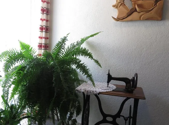 招待所 豪斯芭芭拉宾馆 3*