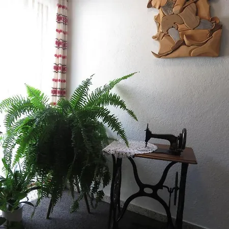 Guest house Haus Barbara *